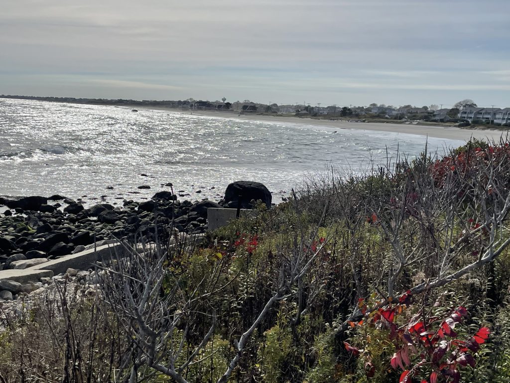 venturup-seaside-work-life-balance | Team Building Activities & Techniques | Team Building Activities & Techniques