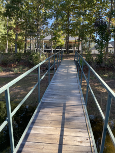 Boat ramp from dock to shore with home behind leafy trees.