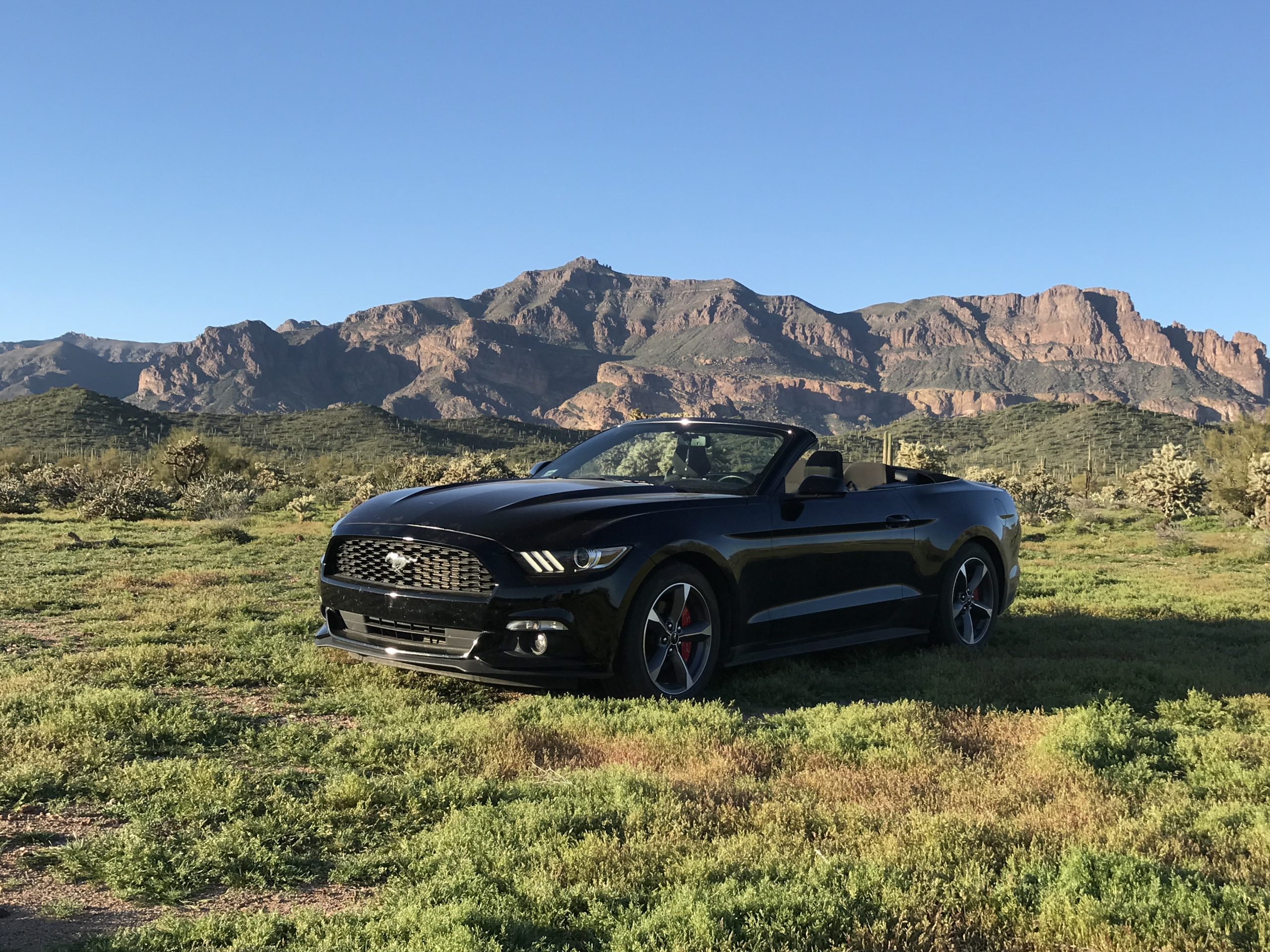 Miles Lengyel's Ford Mustang before put out to pasture. | Team Building Activities & Techniques