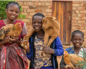 World Vision benefits Indigenous farming communities. Image of children with farm animals in front of home.